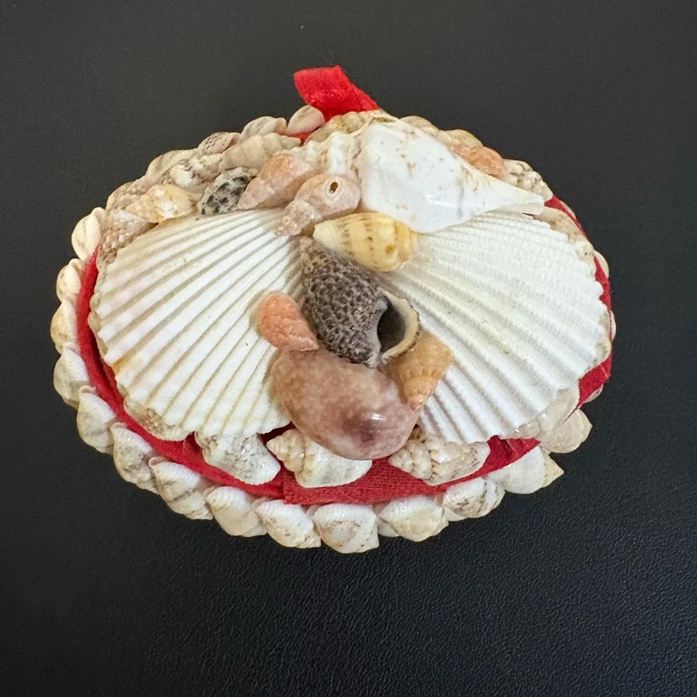 Seashell Jewelry Holder